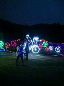 聊城活动新宠 灯光展道具与蜂巢迷宫租赁，打造沉浸式体验